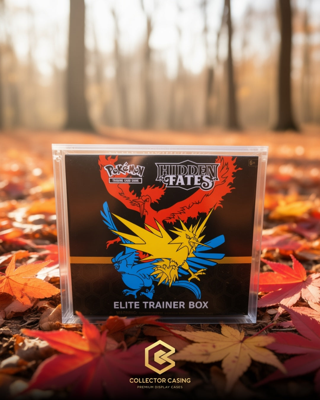 Sealed collection display